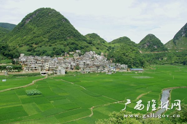 【航拍】天生隆林 炫彩民族