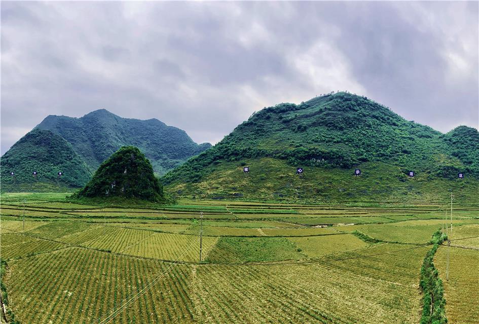 广西壮族自治区百色市隆林各族自治县:桑蚕织出