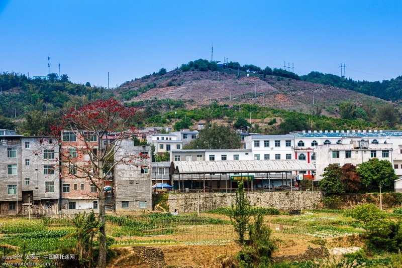 广西隆林两天自由行,感受最美隆林!_网易订阅