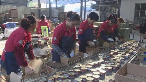 开工啦 上班第一天,平和企业赶订单...