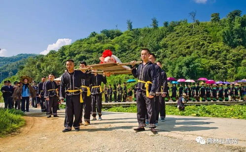 2017年隆林六月六 敬田节 盛大活动场面 你参加了吗