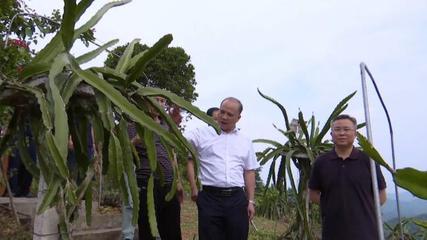 广西隆林县党政代表团到罗甸县考察