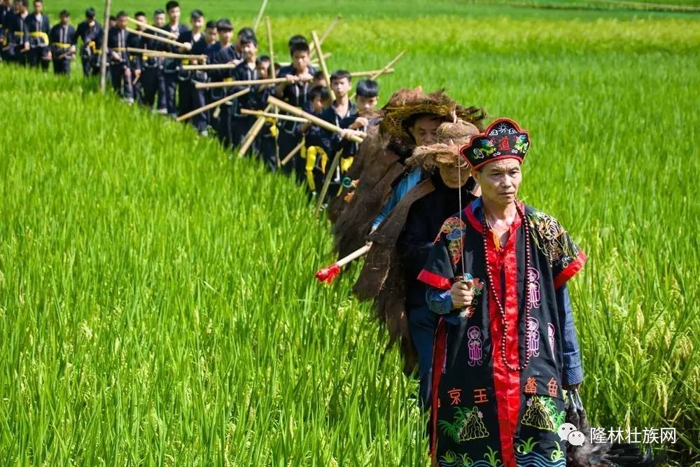 2017年隆林六月六"敬田节"盛大活动场面!你参加了吗?
