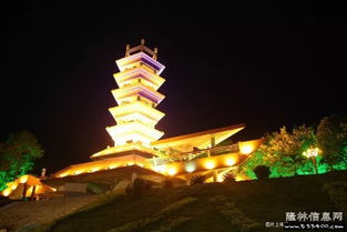 10年前的隆林县城街景