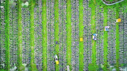 看 丰收的颜色不止一种......