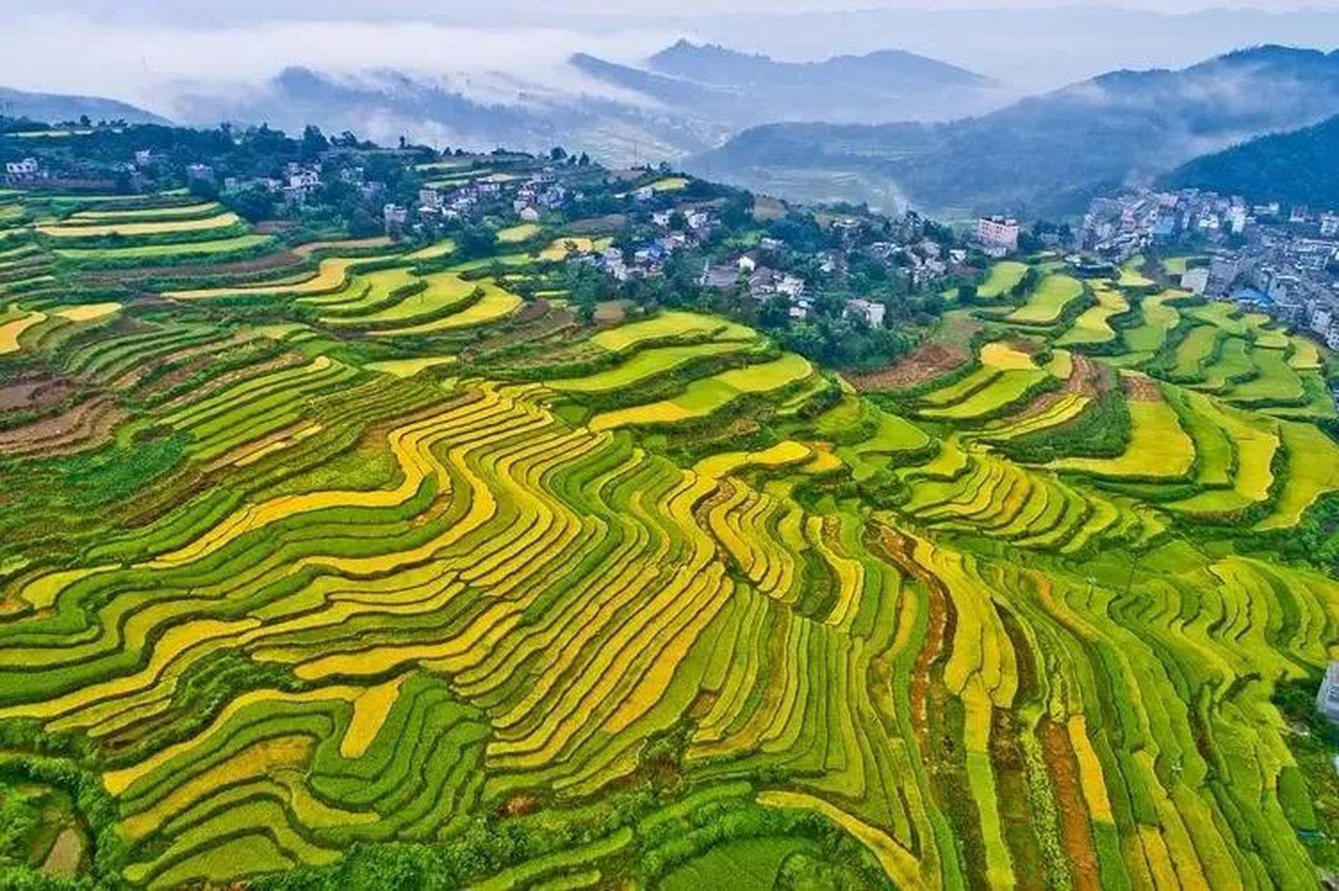 "焚烧杂草"惹大祸,广西隆林一女子失火毁林获刑五年零六个月_新闻频道