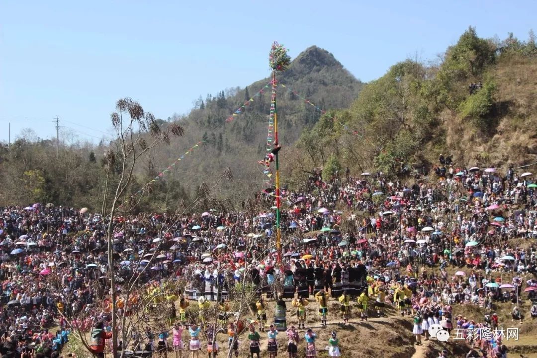 镜头下的2019年隆林德峨跳坡节精彩瞬间!_林网