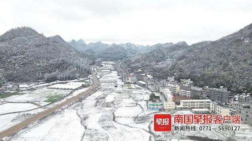 柳州的雪后初霁 玉树琼枝,宛如仙境