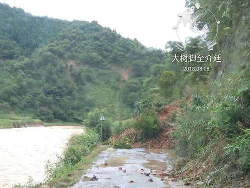 受持续强降雨影响,隆林县多路段交通中断,请广大司机注意安全 隆林信息网