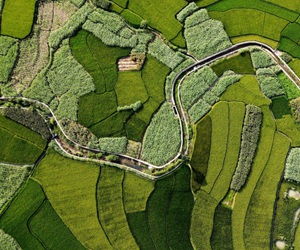 广西频道 网上的人民日报