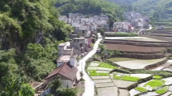 法治人物 不一样的肩章一样的使命 记隆林警务助理田仁辉