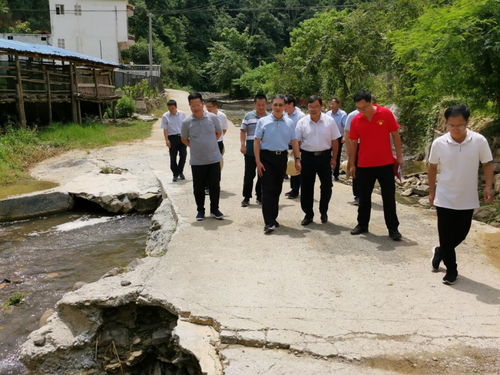 李杰云赴联系帮扶村调研指导乡村振兴工作