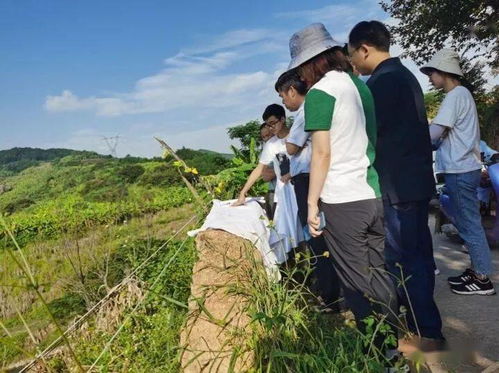 隆林委乐至革步公路一期工程两阶段初步设计预审会及外业验收会通过广西交通运输厅审查