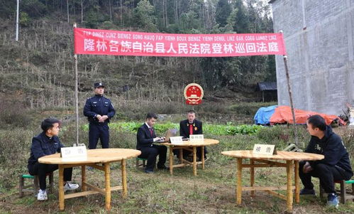 隆林法院登林巡回法庭正式揭牌成立