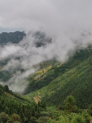 百色隆林的大山深处,云雾缭绕春来早