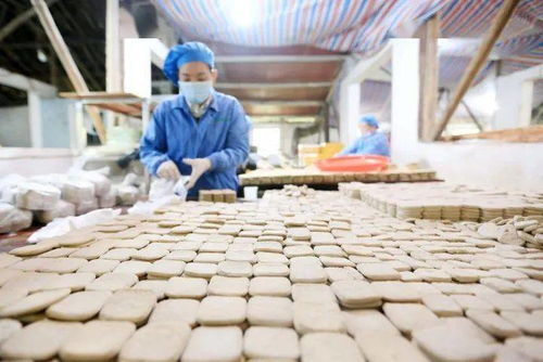 贵州大方 订单豆干生产忙