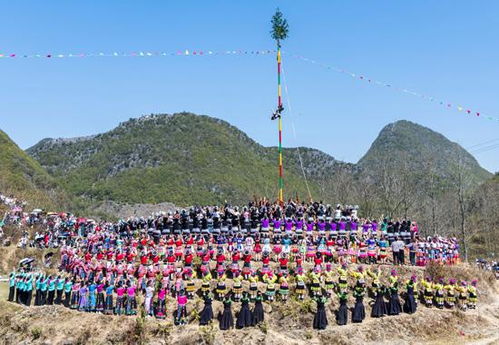 隆林 跳坡节 开坡 各族同胞共享非遗盛会