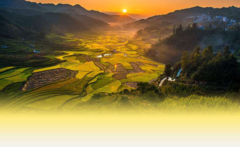 隆林 历史沿革与行政区划探析