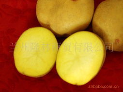 兰州隆林商贸块茎类产品列表