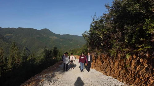 广西协力扶助基金会携手爱心企业举行 传递爱心 情暖隆林 捐赠仪式