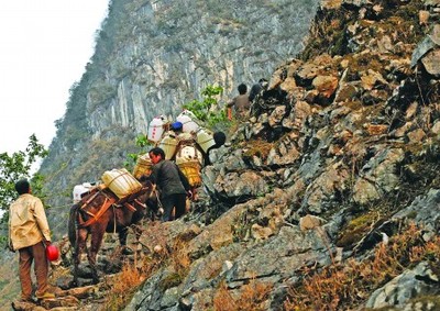 穿越旱区第七站：广西百色隆林县德峨乡马帮，在干旱中复兴隆林