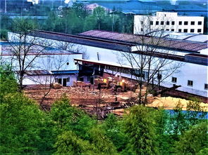 隆林河舒工业园突显规划隐忧 食品企业与木材加工厂共处一园