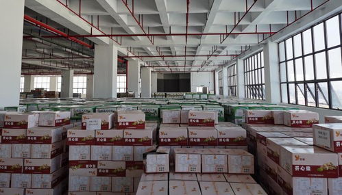 创二代来啦！兄弟同心，其利断金——父辈放心交棒，他们让隆林休闲食品小工厂产值从百万跃升至上亿